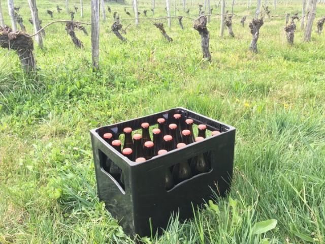 20 Bouteilles 50cl Ambrée